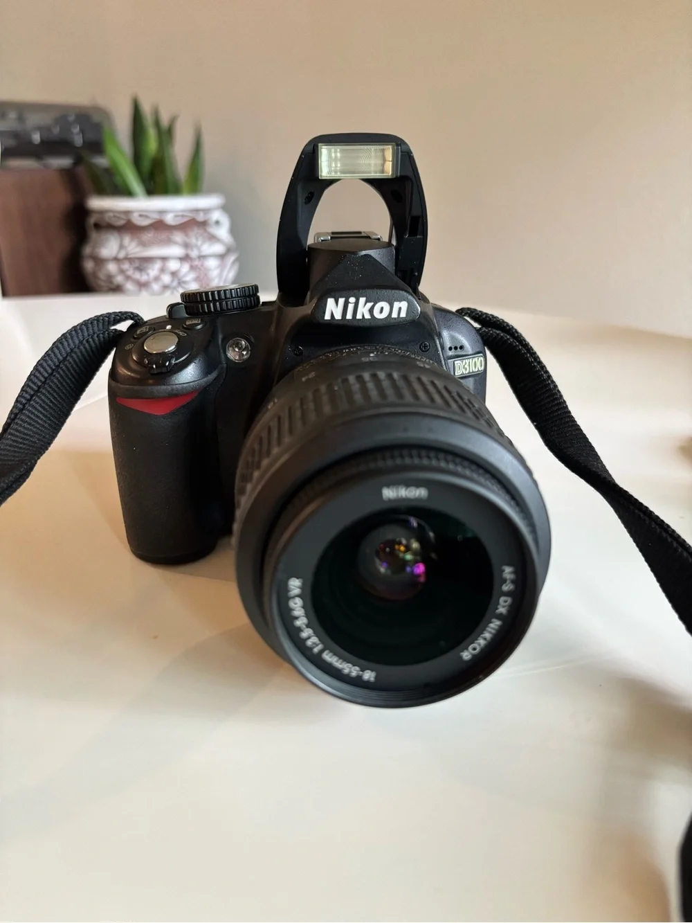 Nikon D3100